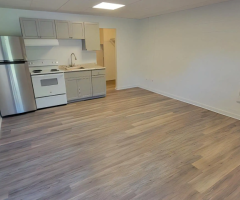 Room for Rent in Apartment - 2